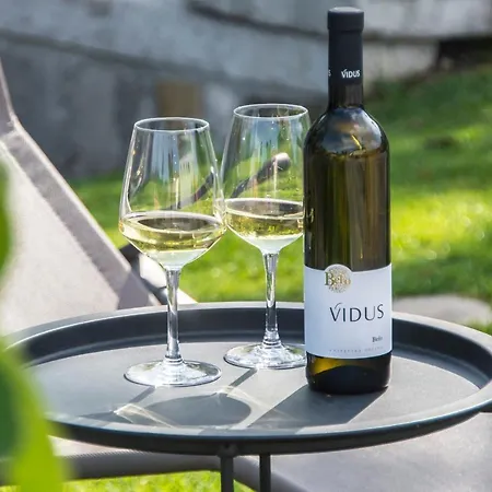 Vidus Wine Estate Podnanos