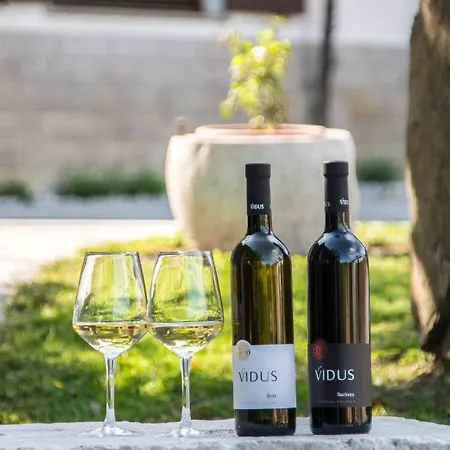 Vidus Wine Estate *