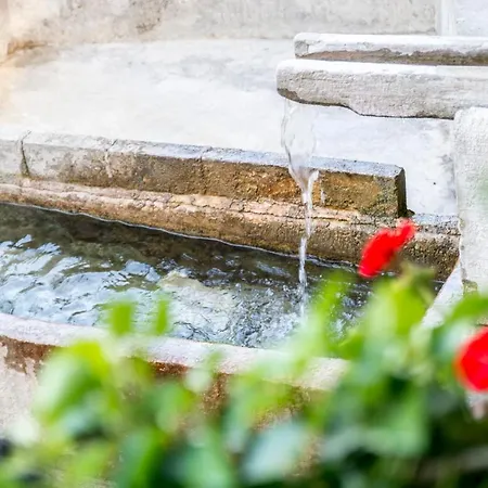 Vidus Wine Estate Apartma Podnanos