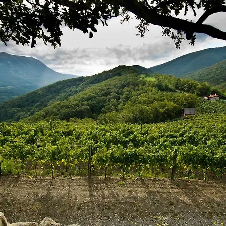 Apartma Vidus Wine Estate Podnanos