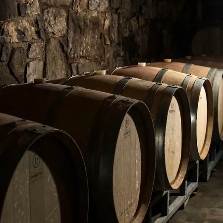 Apartma Vidus Wine Estate *