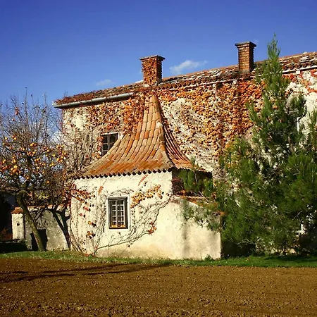 Vidus Wine Estate * Podnanos