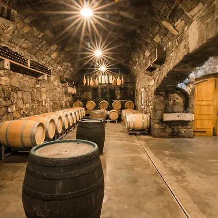 Vidus Wine Estate Podnanos