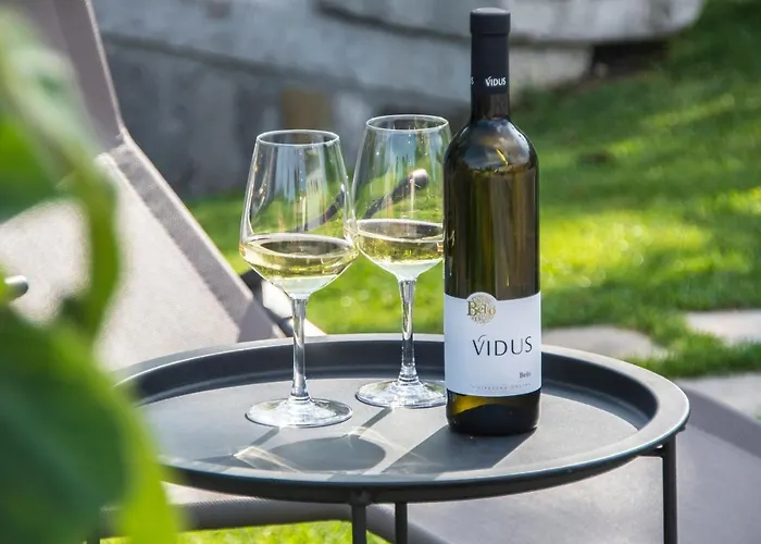 Vidus Wine Estate Podnanos