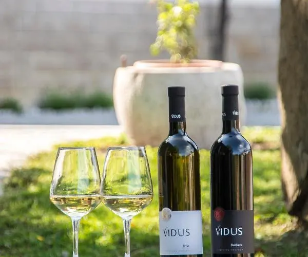 Vidus Wine Estate *