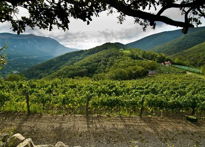 Apartamento Vidus Wine Estate Podnanos