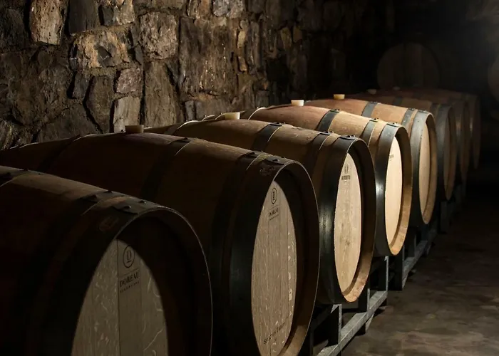 Apartamento Vidus Wine Estate *