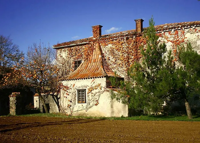 Vidus Wine Estate * Podnanos