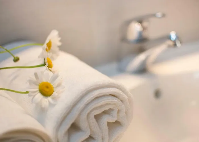 Vidus Wine Estate Podnanos