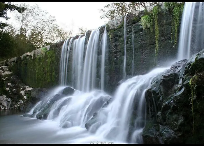Apartamento Vidus Wine Estate
