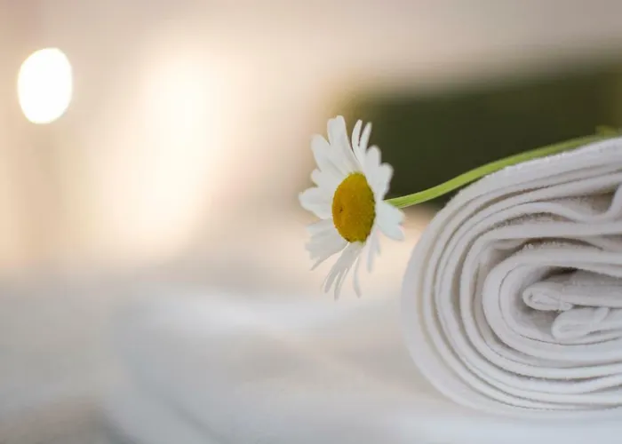 Vidus Wine Estate Apartamento Podnanos