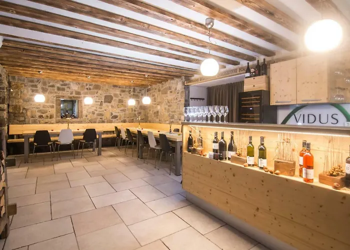 Apartamento Vidus Wine Estate *